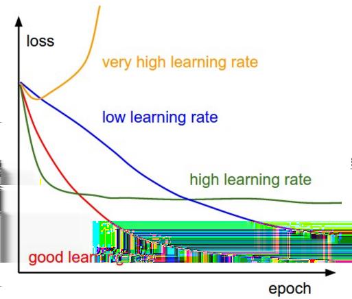 zde vidíme efekt rozdílného Learning rate rozdíl mezi trénovací a validační přesností