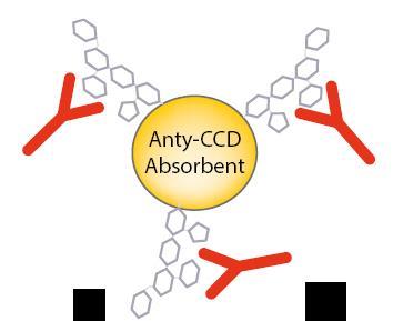 Absorpcja przeciwciał anty-ccd Absorpcja przeciwciał anty-ccd aby wykluczyć wpływ przeciwciał anty-ccd na wynik testu, można skorzystać z dodatkowego odczynnika tzw.