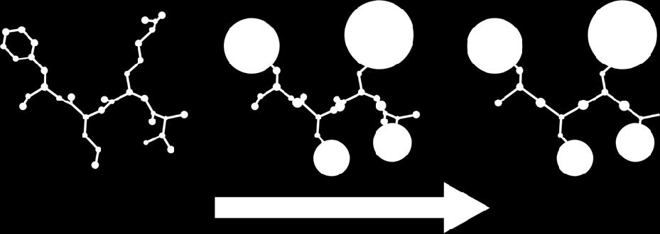 Zredukowana reprezentacja struktury białka reprezentacja all atom model CABS Kmiecik S., Gront D., Kolinski M., Wieteska L.