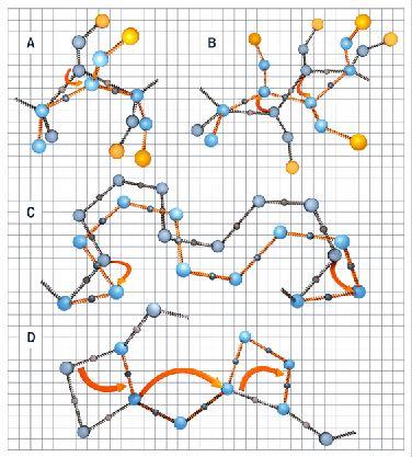 Zredukowana reprezentacja struktury białka Elementy pola siłowego CABS: Wyrazy niezależne od sekwencji modelowanie giętkości łańcucha głównego wymuszają preferowanie białkopodobnych konformacji