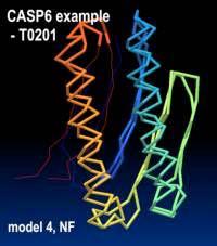 struktury białka grupa