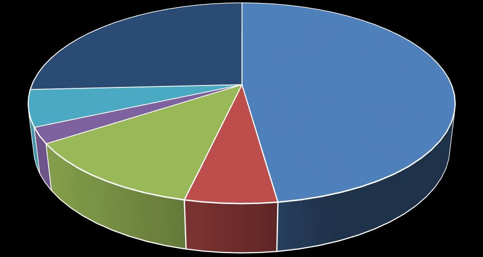 Akcjonariusze posiadający poniżej 5% udziału w ogólnej liczbie głosów 25,79% DSA FG SA 44,78% Nolmanier LTD 5,88% Dariusz Czyż 2,54%