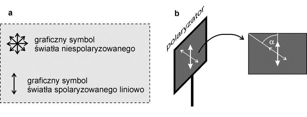 Prawo Malusa Jeżeli na polaryzator liniowy pada światło, prostopadle do płaszczyzny polaryzatora i linowo spolaryzowane, o natężeniu I 0 a