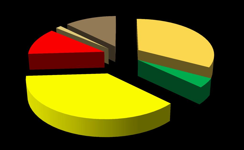 Dotacje - UE 1% Dotacje celowe 12% Dochody powiatu