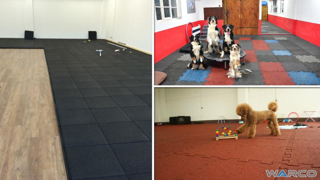 Optymalna nawierzchnia do sali treningowej dla psów Maty amortyzujące wykonane z granulatu gumowego doskonale sprawdzają się jako sportoworekreacyjna nawierzchnia,