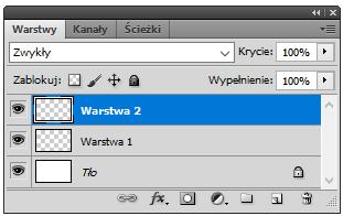 Ich liczba jest ograniczona tylko wielkością pamięci komputera.