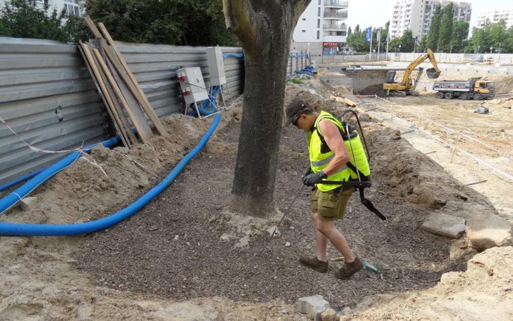 przyrodniczych zabiegów poprawy siedliska: