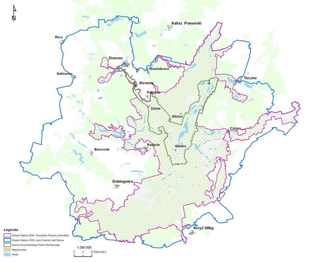 Założenia do opracowania projektu planu ochrony dla Drawieńskiego Parku Narodowego uwzględniającego zakres planu ochrony dla obszaru Natura 2000 I.