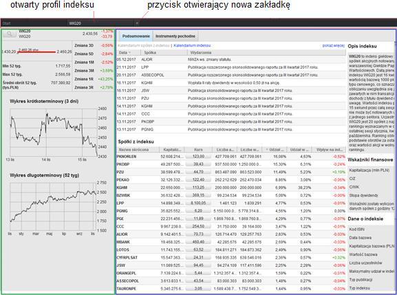 ). Rys. 208. Kategorie umożliwiające zawężenie wyszukiwania instrumentów. Po kliknięciu w wiersz z nazwą indeksu lub link Profil indeksu, otworzy się nowa zakładka.
