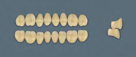 PU29 PL29 Vita MFT, VITA Górne i dolne zęby boczne