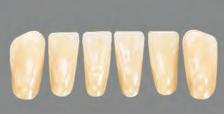 Artic 6/8, Heraeus Kulzer Górne i dolne zęby przednie TO 20 43,8 L 25 37,0 9,2 7,9 5,7 TO 30 45,9