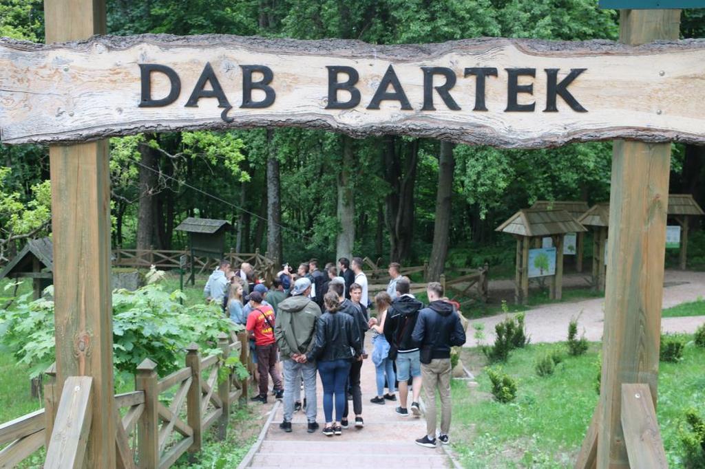 Następnie pojechaliśmy do Zagnańska, gdzie rośnie najstarsze i największe drzewo w Polsce Dąb Bartek.