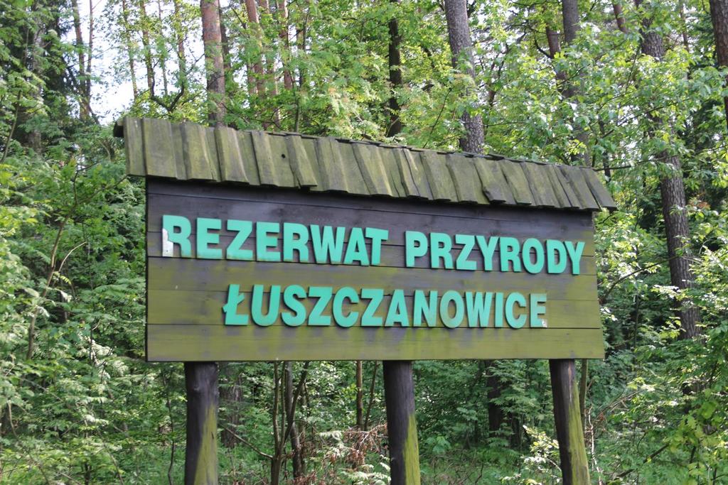 Następnie pojechaliśmy do Rezerwatu Przyrody Łuszczanowice chroniącego fragment