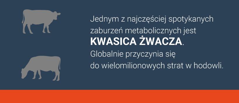 https://www. Jak uchronić żwacz przed kwasicą?