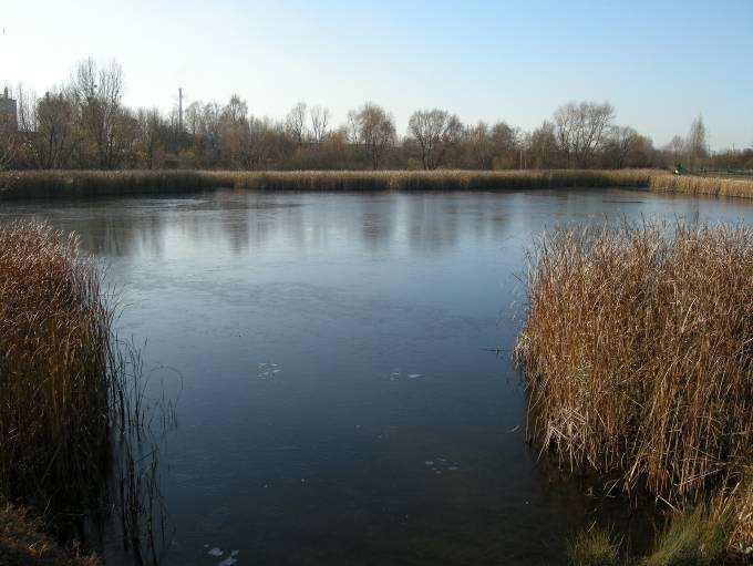 Włodkowski 41 Łąki nad rz. Narew koło Grądów Woniecka A. Grabowska, S. Kłusewicz 42 Strawy Topilec W. Sawicki 43 Odstojniki cukrowni w Łapach G. Grygoruk, A. Grabowska, S. Kłusewicz, T.