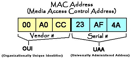 Adres sprzętowy Adres sprzętowy (ang. Media Access Control, MAC): adres karty sieciowej.