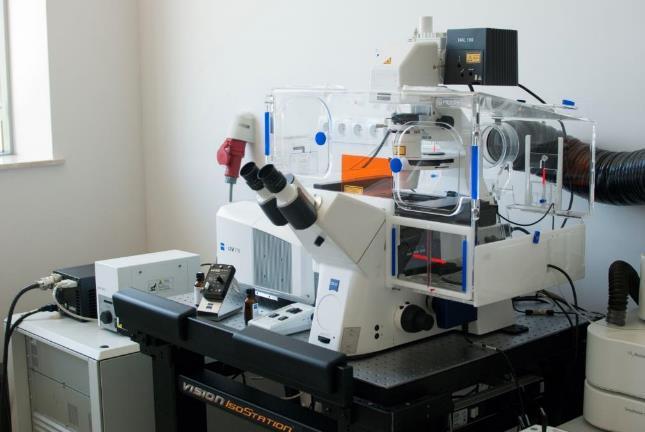 Skanujący laserowy mikroskop