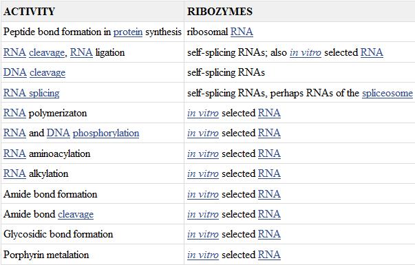 Biochemiczne reakcje, które mogą być katalizowane przez rybozymy The RNA World and the Origins of Life.