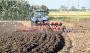 https://www. Cechy, które zadecydują o tym, czy wybrana przez nas odmiana sprawdzi się na naszych polach, dzielą się na kilka grup.