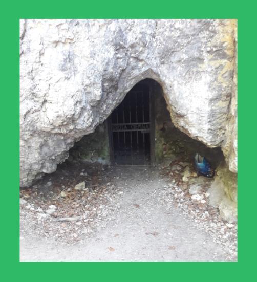 stropów jaskini jest pokryty dużą ilością małych nacieków stalaktytów rurkowych tzw. makaronów. Wnętrze jaskini jest wilgotne. Temperatura wynosi ok + 7 C - -8 C.