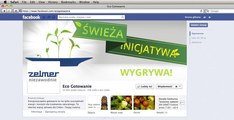Promocja konsumencka dedykowana strona www i FB www.swiezainicjatywazelmer.