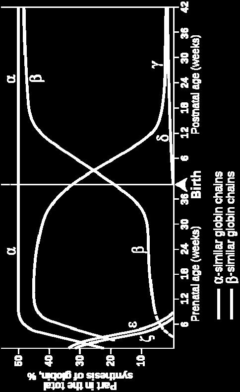 hemoglobina płodowa HbF (α2γ2), Po 38 tygodniu życia Hb A (α2β2) i Hb A2 (α2δ2) W chorobach z