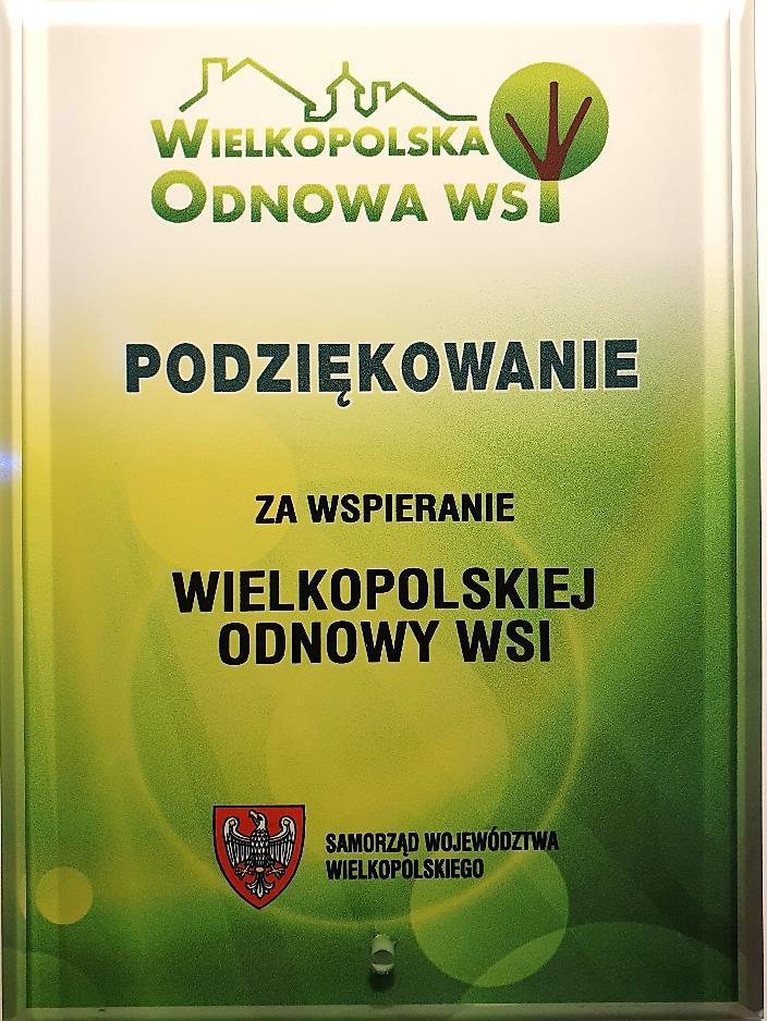 rozwoju Gminy Lwówek i pomoc w zdobyciu środków finansowych na rewitalizacje Wielkopolska Odnowa Wsi