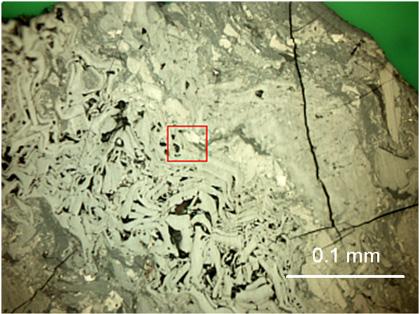 Na obecnym etapie badań nie identyfikowano liptynitu oraz minerałów nieorganicznych, jako struktur stosunkowo rzadko występującego w analizowanych próbkach węgla.