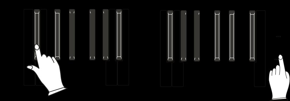 PODSTAWOWA OBSŁUGA WŁĄCZANIE INSTRUMENTU Włącz zasilanie, wyświetlacz LCD się zaświeci.