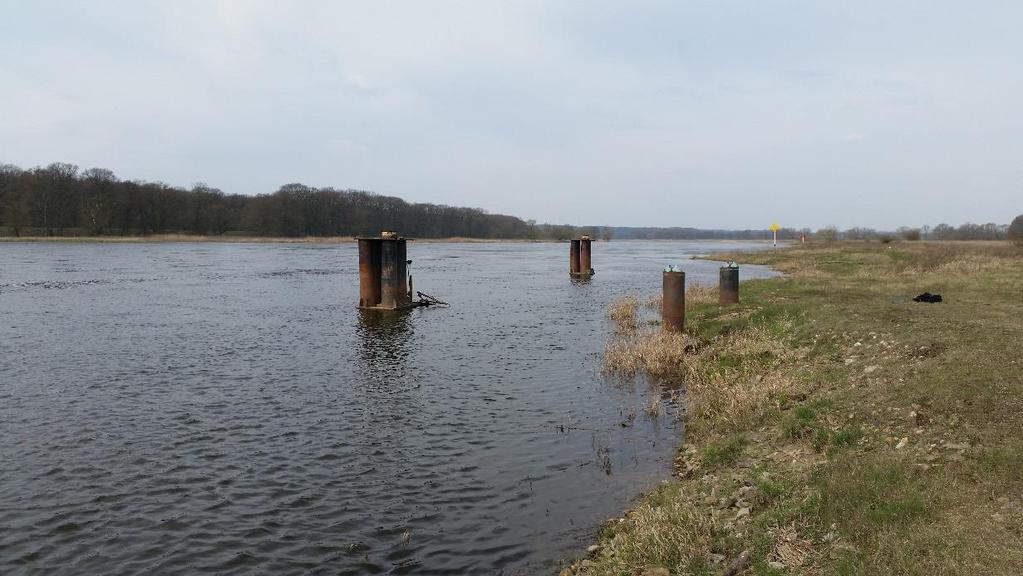 Fot. 11 Rzeka Odra - postojowisko w pobliżu miejscowości Kunice, widok na istniejące dalby cumownicze km 572,0 Fot.