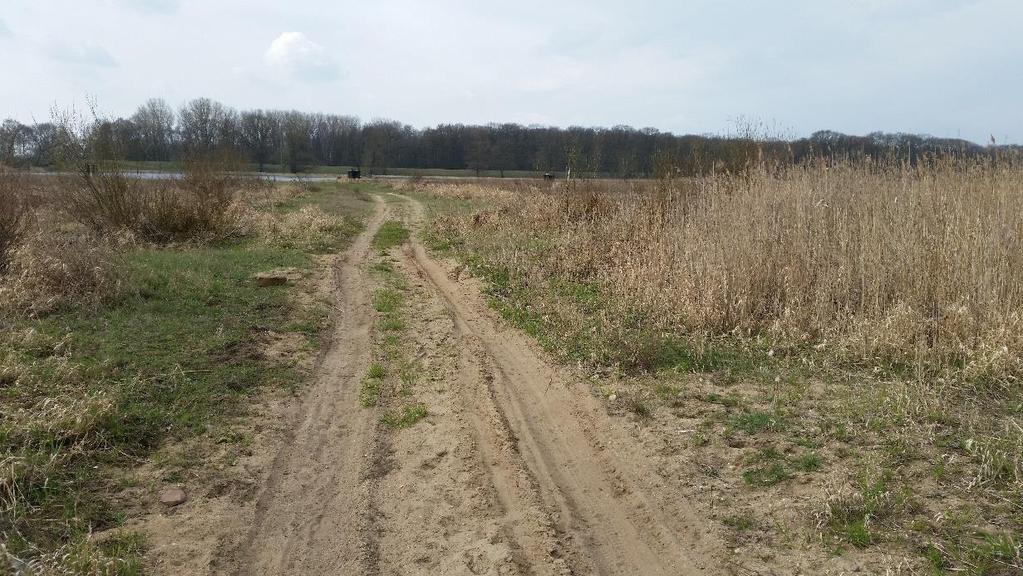 Odra, km 548,4 (Biała Góra) Miejsce to zostało wskazane przez Inwestora jako optymalne pod względem stacjonowania lodołamaczy w trakcie prowadzenia akcji łamania lodu.