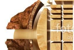 WINTERSTEIGER Sägen GmbH, D-Arnstadt Inteligentny sukces to trwały sukces, coś co jest wynikiem myślenia na przyszłość.