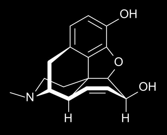 i CB2 THC GPCR sce endorfiny =