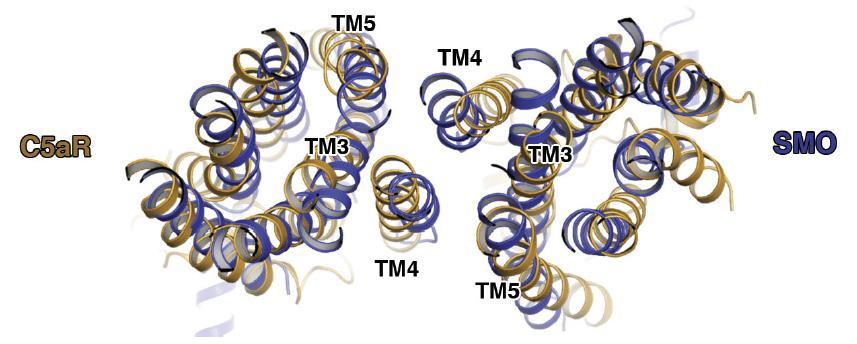 antagonistą (faza klin.ii - ) PDB:5O9H.