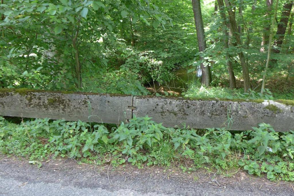 wegetacja roślin oraz wegetacja mchów na barierach. Fot.