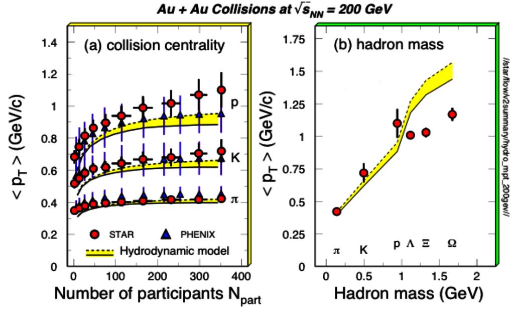 pt naładowanych hadronów arxiv:0810.4585 pędy pop. małe (produkcja w rurze ; większość cząstek to piony) ale dane A+A różnią się od N+N.