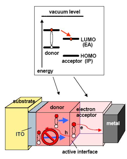 In order for most excitons to diffuse to the interface of layers and break up into carriers, the layer