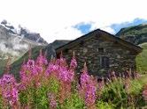 7 godzin 4 DZIEŃ Champex - Fenetre d Arpette - Col de la Forclaz. Przejście z Champex na doliną Val d'arpette przełęcz Fenetre d'arpette 2665 m n.p.m., najwyżej położony punkt na całej trasie Tour du Mont Blanc.
