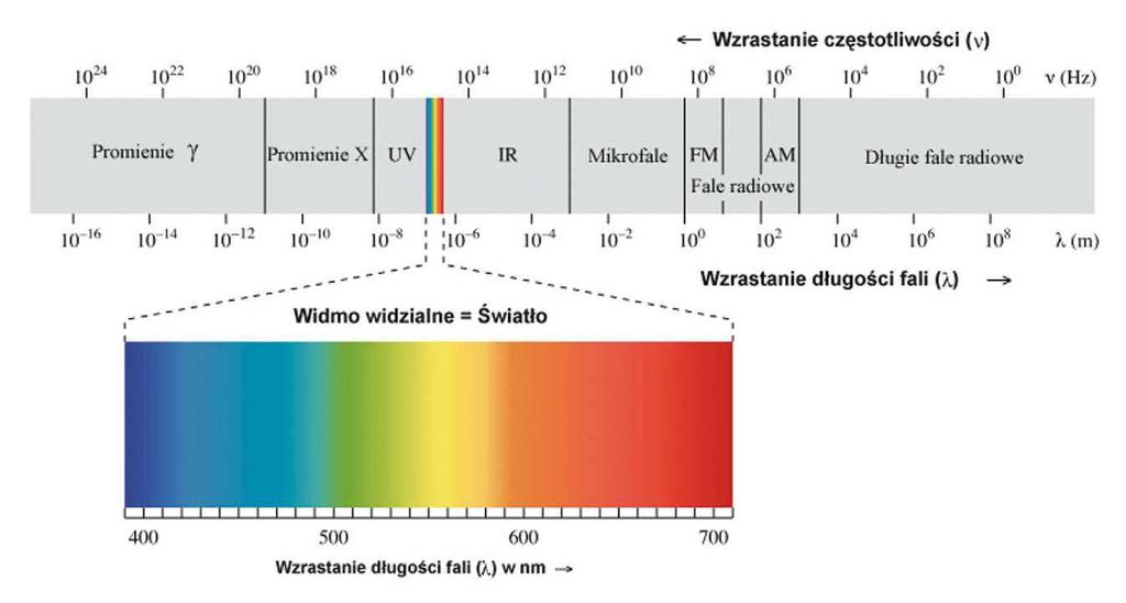Promieniowanie widzialne -światło ultrafiolet fiolet podczerwień