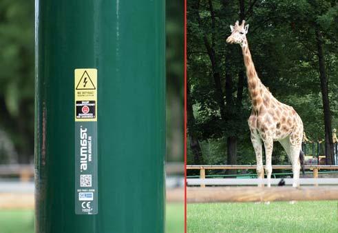 Urządzenia zlokalizowano w taki sposób, aby każde wtargnięcie intruza na teren ogrodu zoologicznego zostało wykryte przez czujki ruchu i skutkowało zarejestrowaniem obrazu z kamer obserwujących