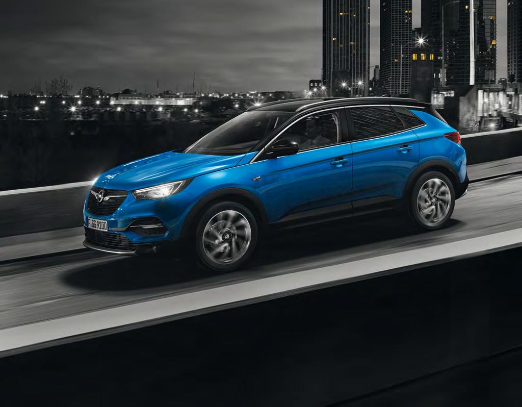 GRANDLAND X z rabatem do 7 000 zł * GRANDLAND X już za 899 zł/mies. Opel Kredyt i Opel Leasing (RRSO 8,23%) CENNIK OPEL GRANDLAND X. Rok produkcji 2019 / Rok modelowy 2019.