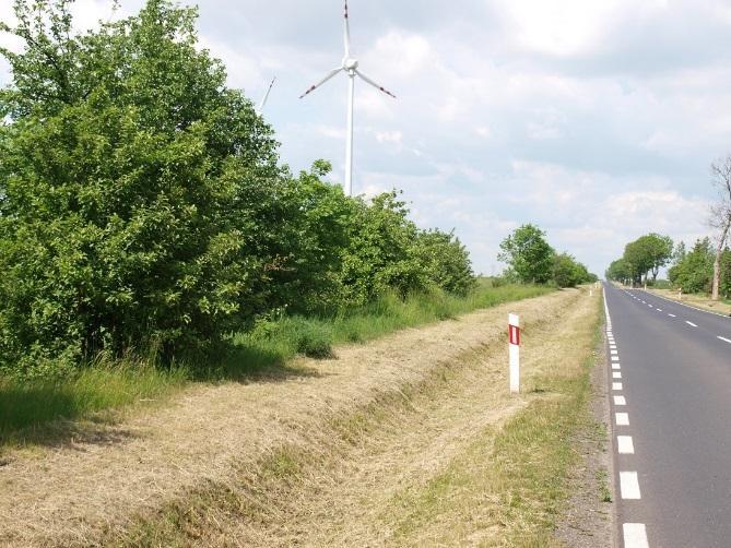 czynników i zjawisk kryzysowych w gminie, służącej wyznaczeniu obszaru zdegradowanego (OZ) i obszaru rewitalizacji (OR), w tym w szczególności w oparciu o wnioski wynikające z pogłębionej diagnozy