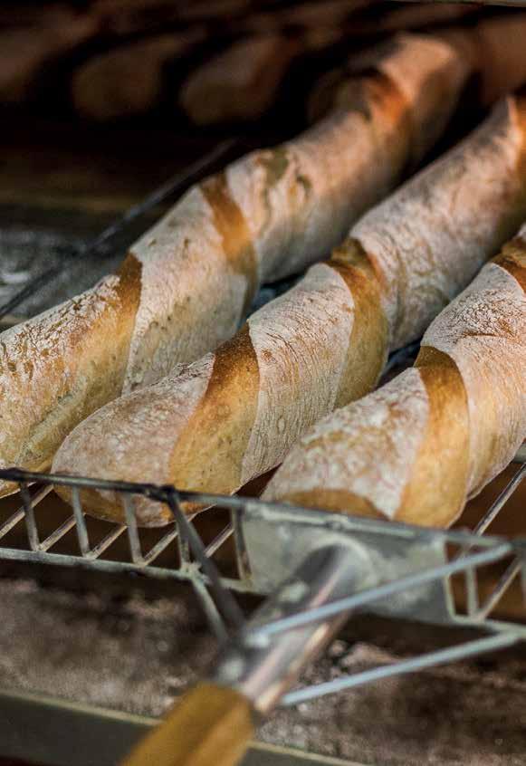 Bagietki i paluchy Baguettes and piccolos Bagietka korzenna duża Wurzelbaguette