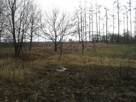 Orły. W pobliżu znajduje się DK 77 oraz autostrada A4.