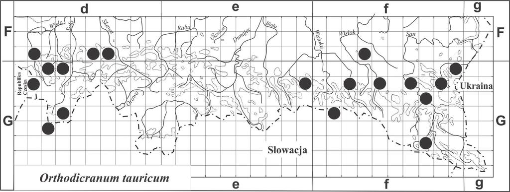 A. Stebel Mech Orthodicranum tauricum (Dicranaceae)... 147 tylko raz, na stanowisku położonym na Pogórzu Przemyskim (jest to pierwsza obserwacja dojrzałych sporofitów w Polsce).