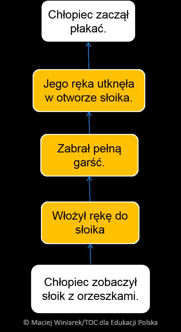 rozwijać logiczną alternatywę przebiegu akcji; korzystać z wcześniejszej wiedzy i doświadczenia, aby wyprowadzać związki pomiędzy programem a życiem codziennym.