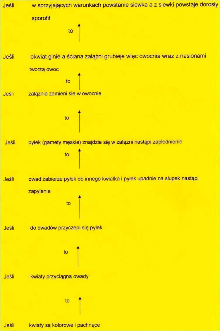 Korzyści ze stosowania logicznej gałązki: zrozumienie treści lekcyjnych, samodzielna ewaluacja i własna korekta, samodzielne tworzenie interpretacji, dochodzenie do własnych wniosków, samodzielne