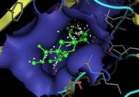 tworzenie map kontaktów, interakcji czy elektrostatycznych kompleksu białko-ligand, projektowanie farmakoforów. Zdjęcia zostały pobrane ze strony CCG http://www.chemcomp.