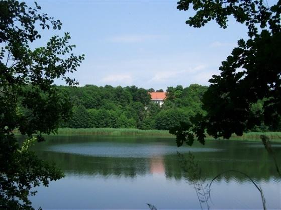 PROGRAM: Spacer ścieżką przyrodniczą - po drodze dzieci rozpoznają drzewa, obserwują mrowisko, poznają paśnik, dowiadują się co to jest szkółka leśna, spotkanie z leśniczym, ognisko w wigwamie z