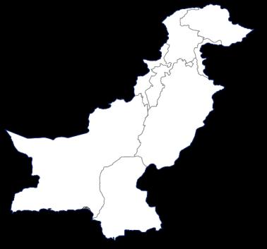 Działalność zagraniczna Pakistan i pozostałe Aktywa: Pakistan Pozostała aktywność zagraniczna w 2018 r.